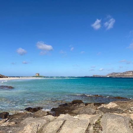 Appartamento Mare Blu Porto Torres Eksteriør billede